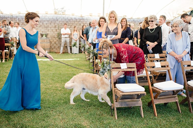The bridal entourage walks down the aisle with Tammy and Nico's dogs