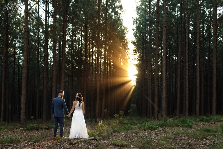 Bride and Groom start their new life together facing light rays as the sun sets at their Garden Route Forest Wedding