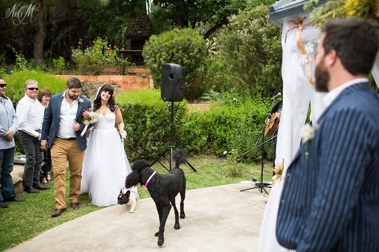 Vanessa the bride walks down the aisle guided by her french bulldog