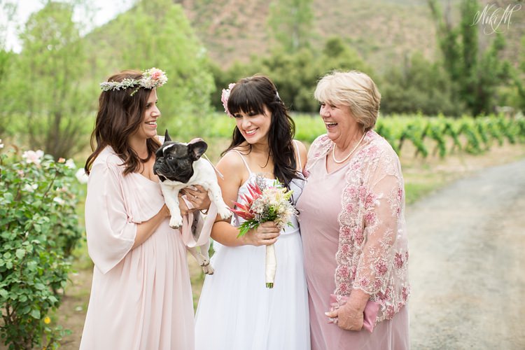 Family portrait with Elli the French Bulldog on the wedding day