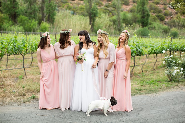 Photo with bridesmaids on a wine farm