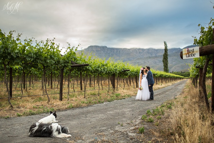 Couple photographs in a vineyard