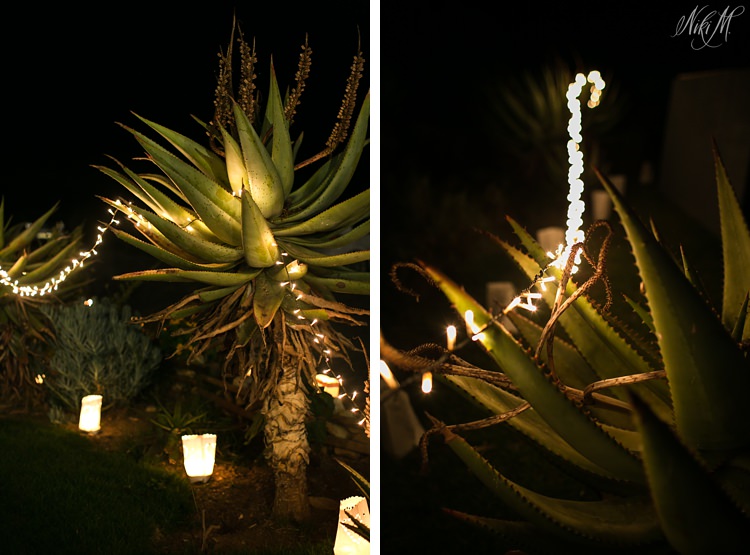 Using fairy lights amongst the aloes to add moody light along pathways