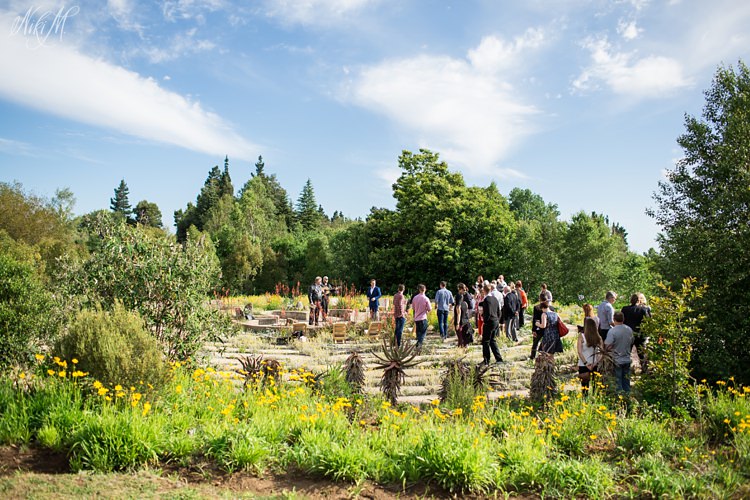 Guests gather in the Labyrinth, surrounded by Spring flowers. This is a truly beautiful ceremony spot at Hogsback Wedding Venue, The Edge